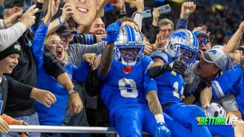 Week 12 NFL Bets Early Games: Flip Out for the Lions