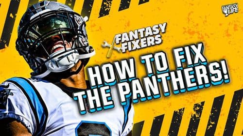 How to Fix the Panthers